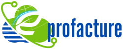 profacture.fr Logo PNG Transparan (1000 x 250 px) (600 x 250 px) (4)